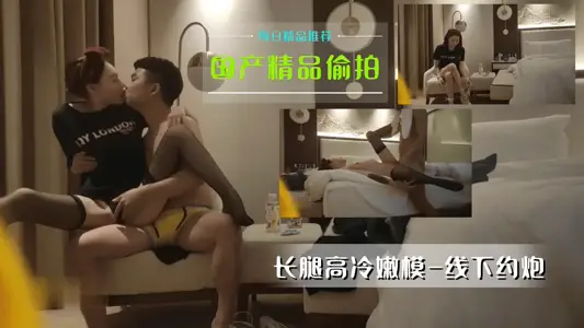 国产绝密盗摄·高冷长腿嫩模线下约炮偷情实录